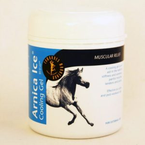 ARNICA ICE COOLING GEL JAR 500G